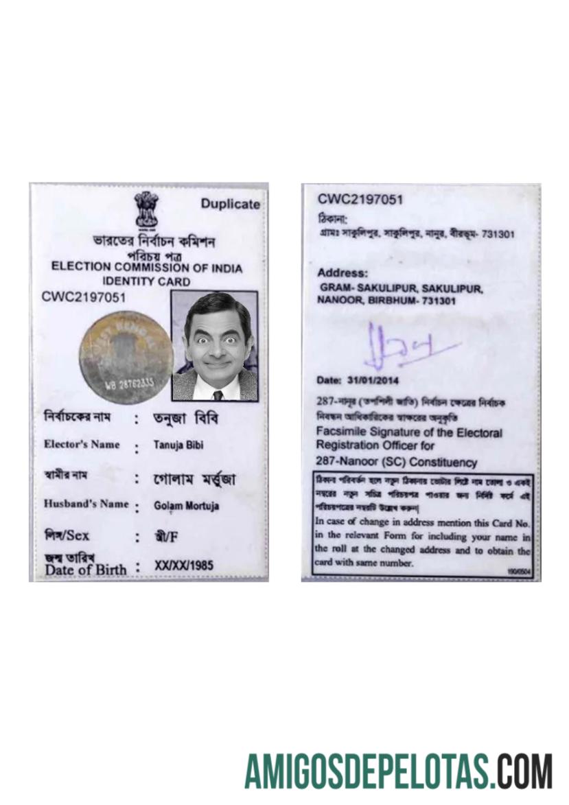 India Identity Card amostra